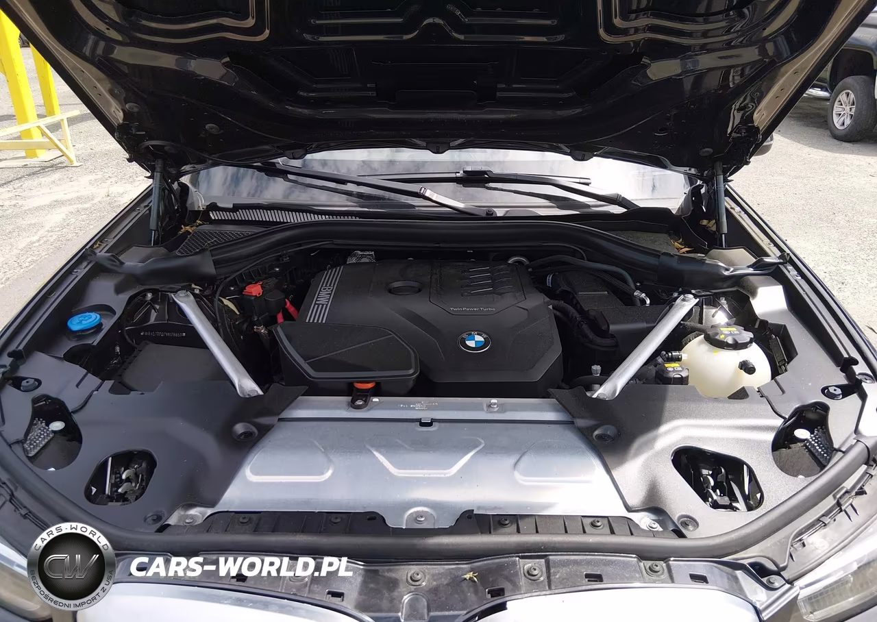 2022 BMW X3 xDrive30I VIN:WBX57DP07NN176653 - 10