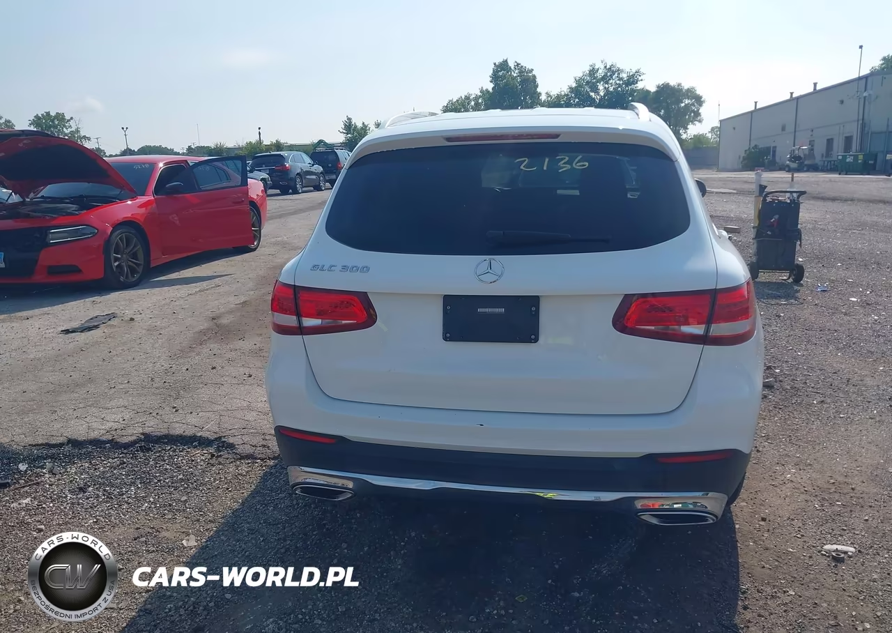 2016 Mercedes-Benz Glc 300 VIN:WDC0G4JB6GF009192 - 16
