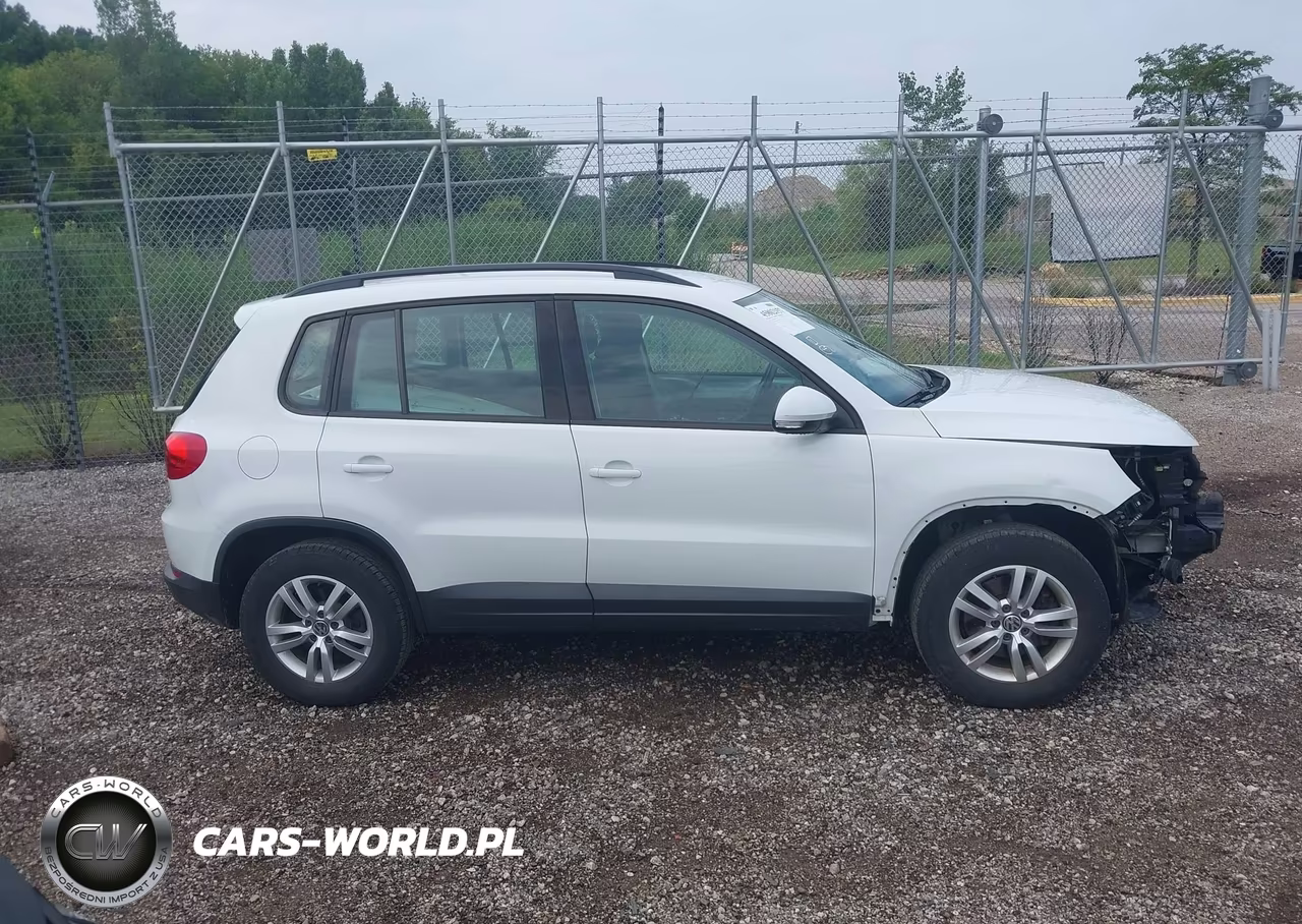 2015 Volkswagen Tiguan S VIN:WVGAV7AX5FW582818 - 13