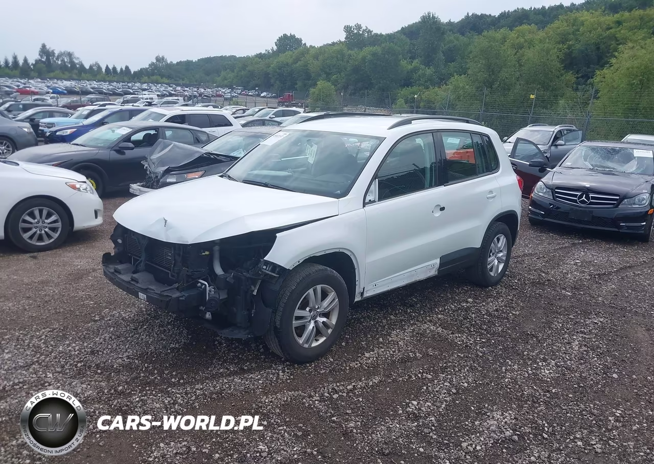 2015 Volkswagen Tiguan S VIN:WVGAV7AX5FW582818 - 2