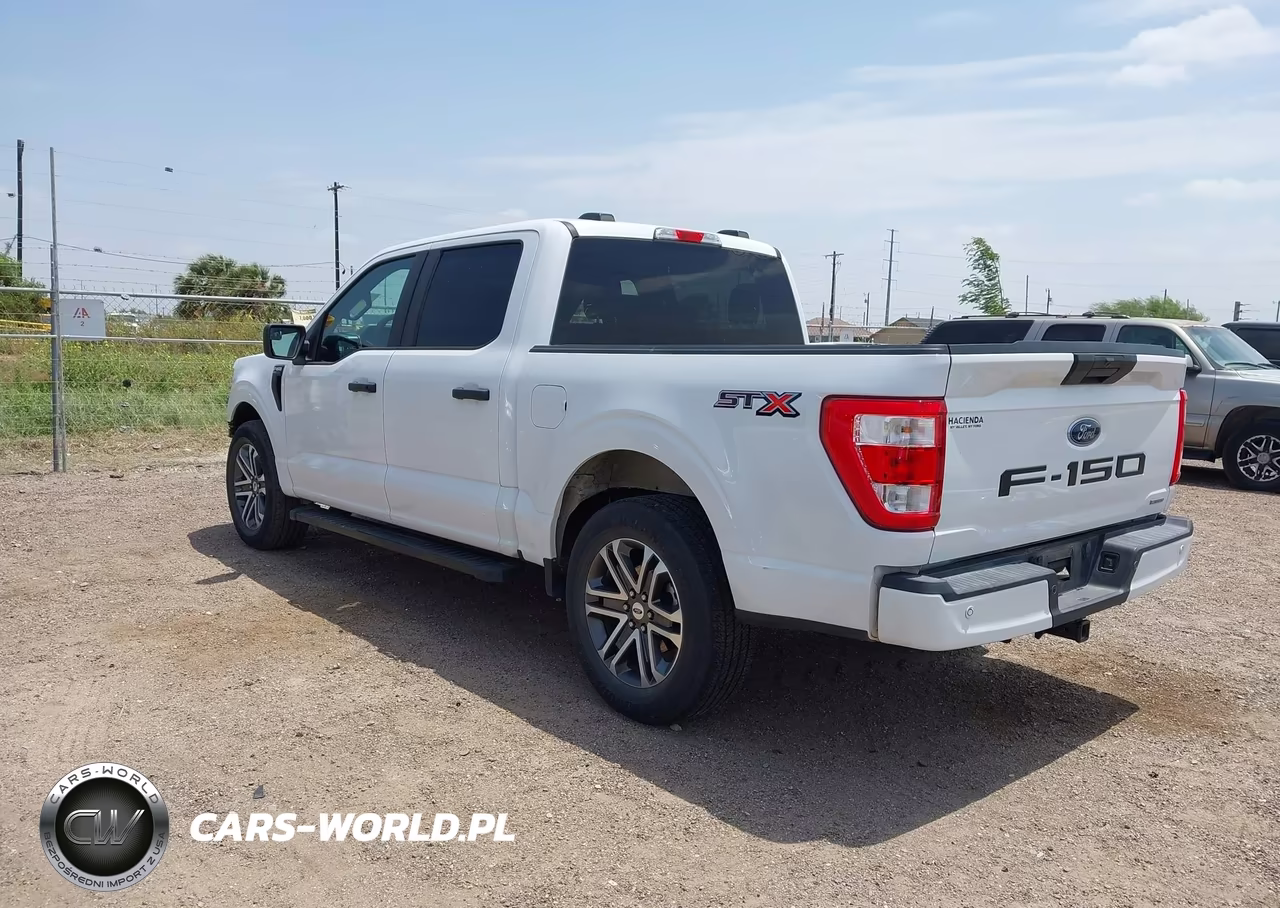 2022 Ford F-150 Xl VIN:1FTEW1CP1NKE79818 - 3