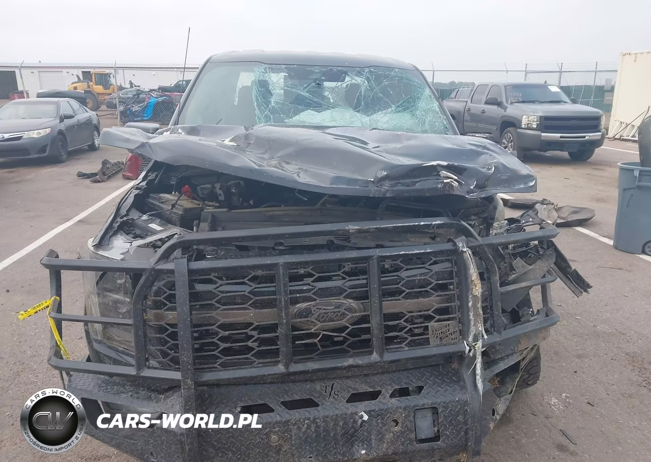 2023 Ford F-150 King Ranch VIN:1FTFW1E5XPFA91143 - 12