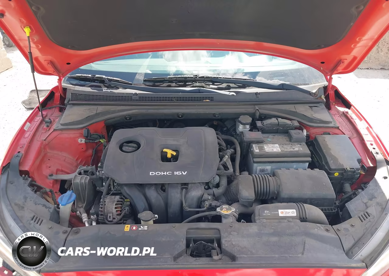 2019 Hyundai Veloster 2.0 VIN:KMHTG6AF3KU017803 - 10