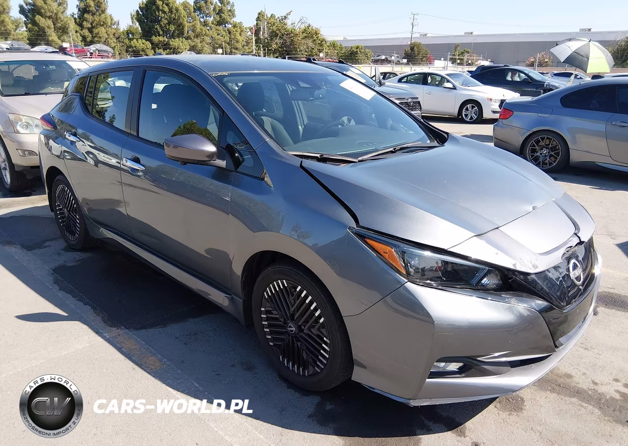 2024 Nissan Leaf Sv Plus