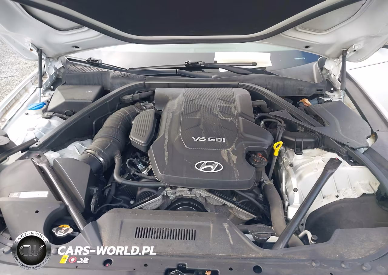 2016 Hyundai Genesis 3.8 VIN:KMHGN4JE1GU120521 - 10