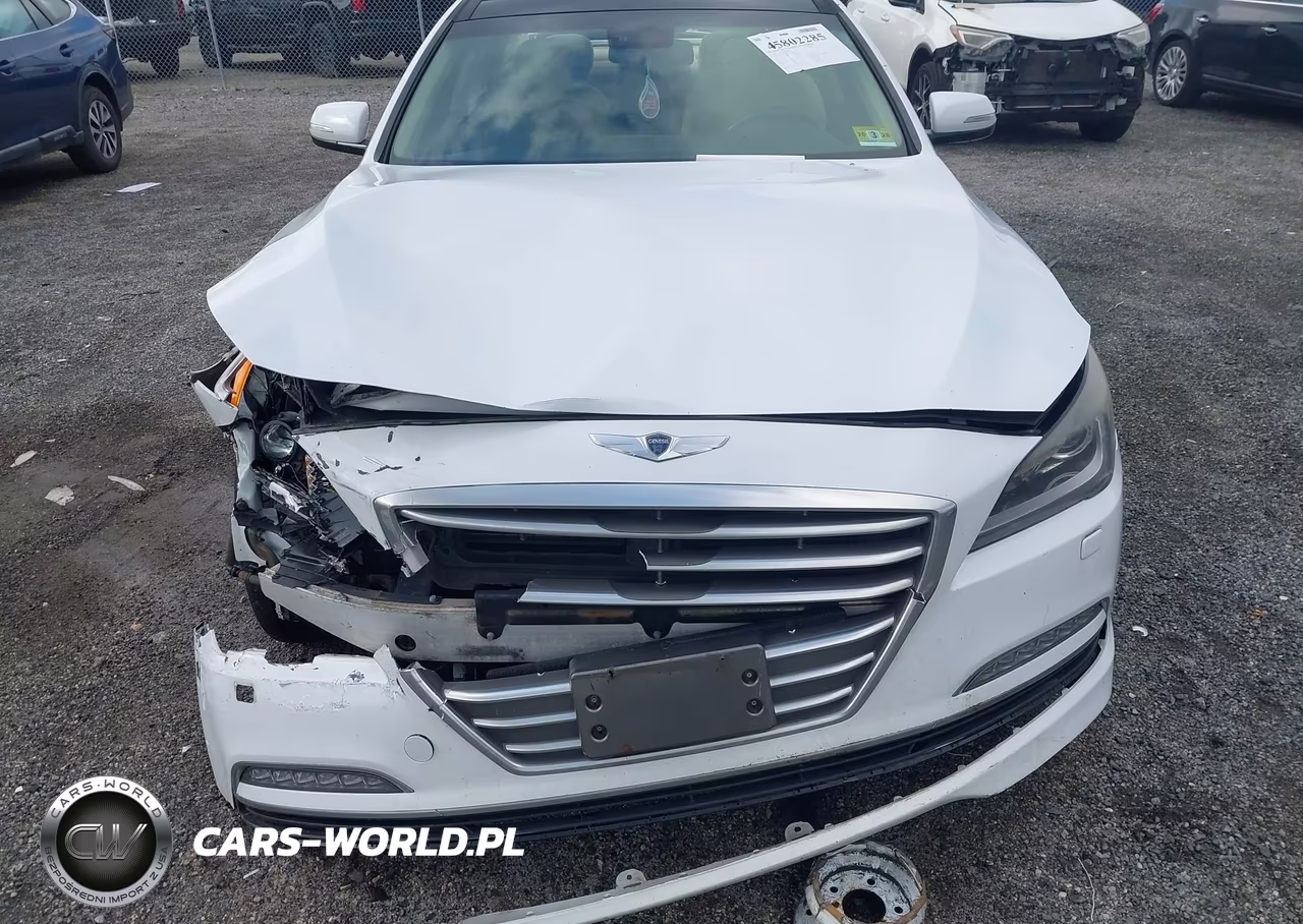 2016 Hyundai Genesis 3.8 VIN:KMHGN4JE1GU120521 - 12