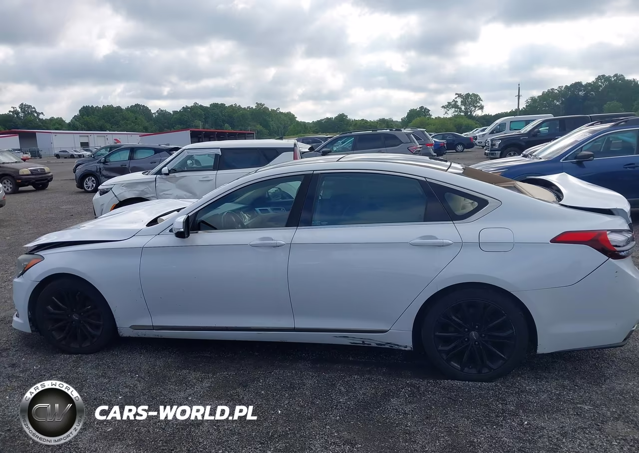 2016 Hyundai Genesis 3.8 VIN:KMHGN4JE1GU120521 - 14