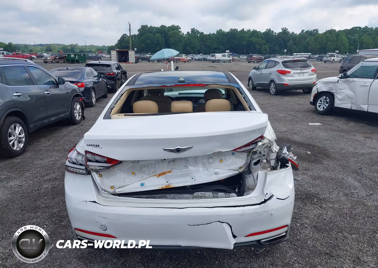 2016 Hyundai Genesis 3.8 VIN:KMHGN4JE1GU120521 - 16