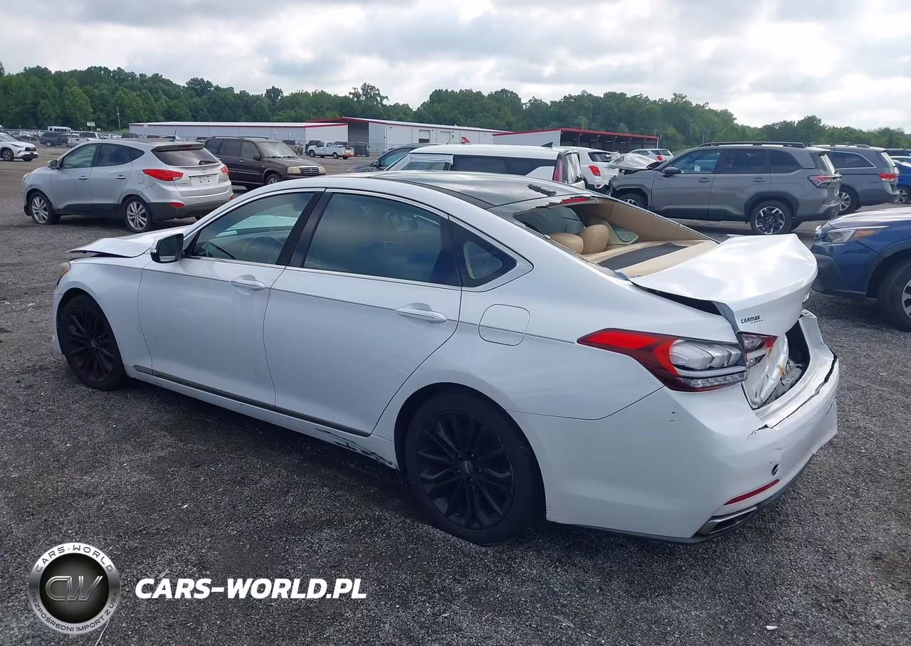 2016 Hyundai Genesis 3.8 VIN:KMHGN4JE1GU120521 - 3