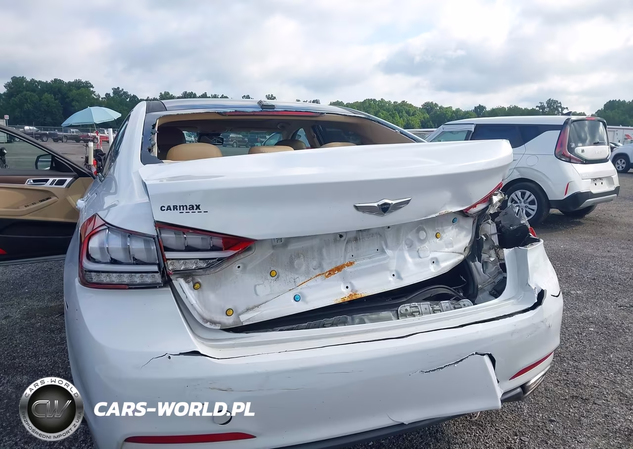 2016 Hyundai Genesis 3.8 VIN:KMHGN4JE1GU120521 - 6