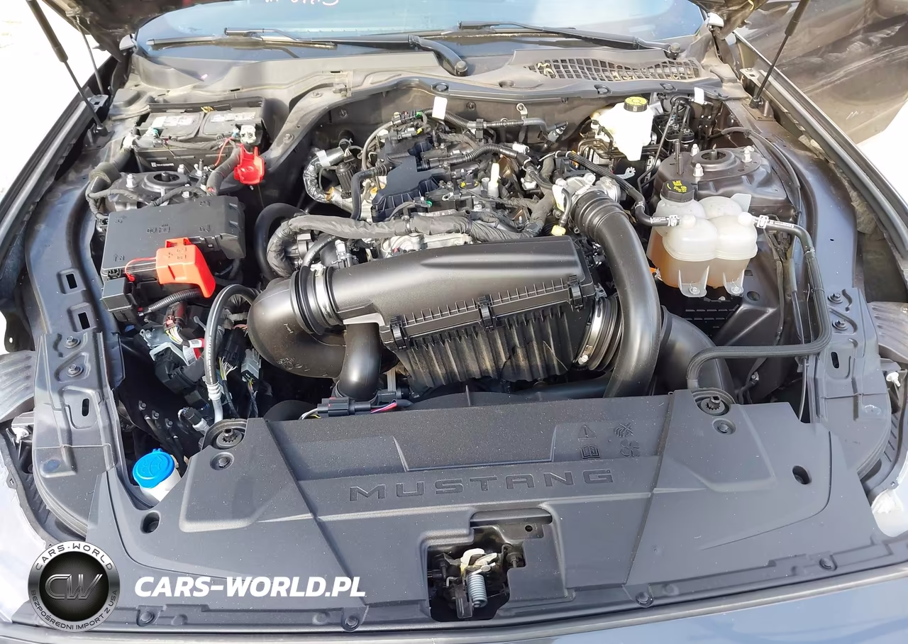 2024 Ford Mustang Ecoboost Premium Fastback VIN:1FA6P8TH4R5110142 - 10
