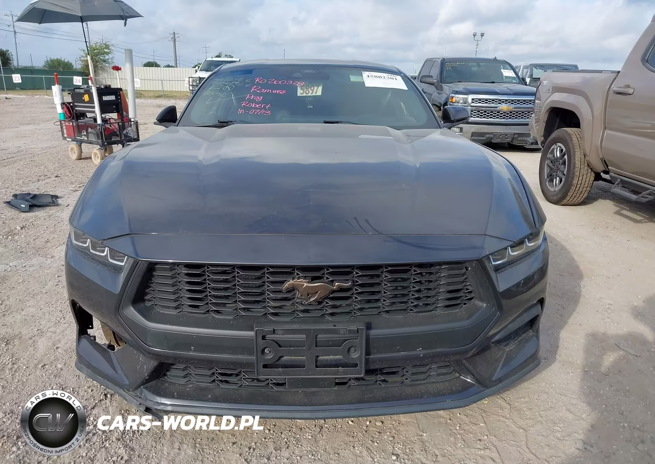 2024 Ford Mustang Ecoboost Premium Fastback VIN:1FA6P8TH4R5110142 - 13