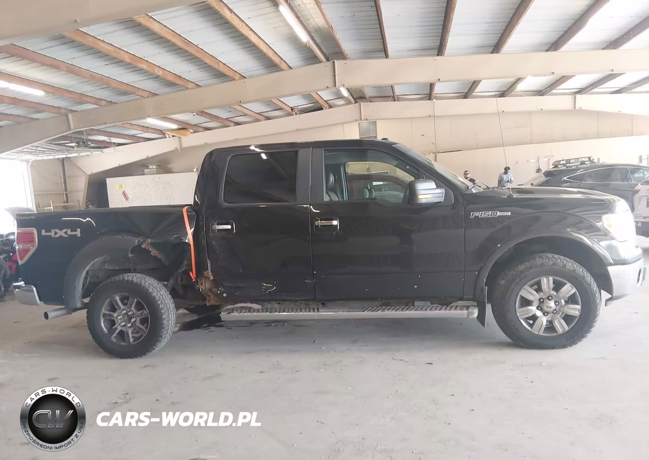 2010 Ford F-150 Fx4-Harley-Davidson-King Ranch-Lariat-Platinum-Xl-Xlt VIN:1FTFW1EV6AFA00604 - 13
