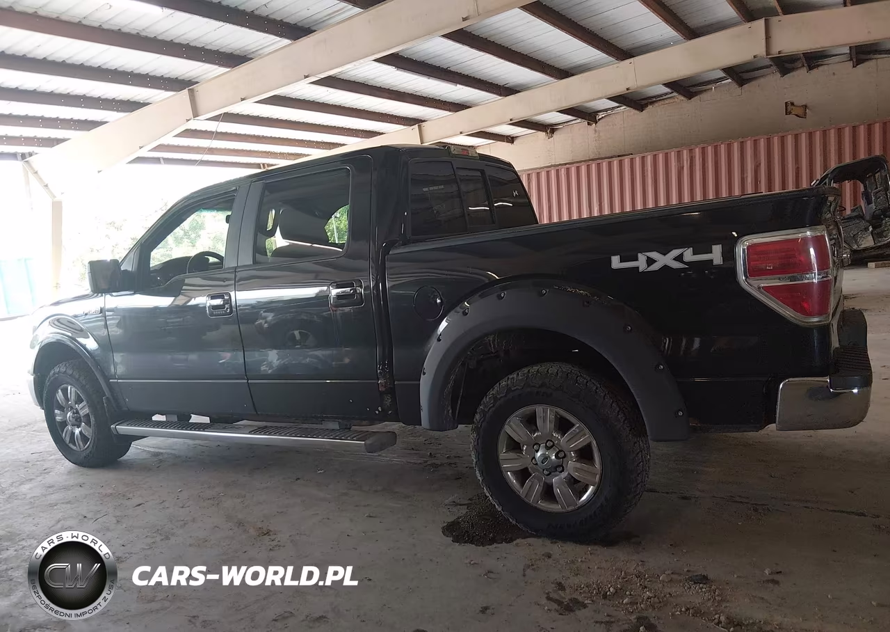 2010 Ford F-150 Fx4-Harley-Davidson-King Ranch-Lariat-Platinum-Xl-Xlt VIN:1FTFW1EV6AFA00604 - 14