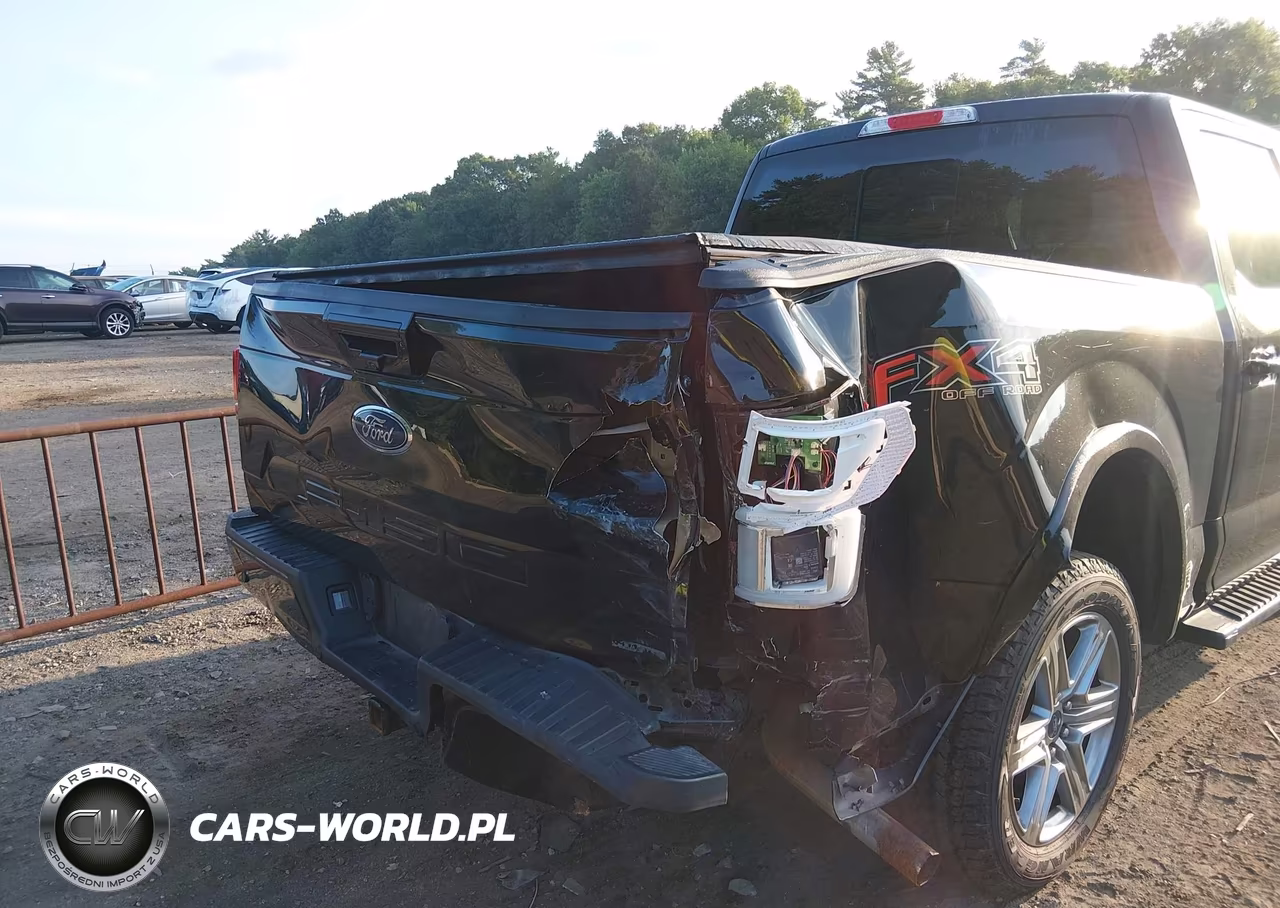 2018 Ford F-150 King Ranch-Lariat-Limited-Platinum-Xl-Xlt VIN:1FTEW1EG1JFE33213 - 6