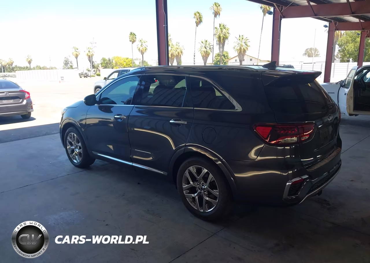 2019 Kia Sorento 3.3L Sxl VIN:5XYPK4A56KG450839 - 14