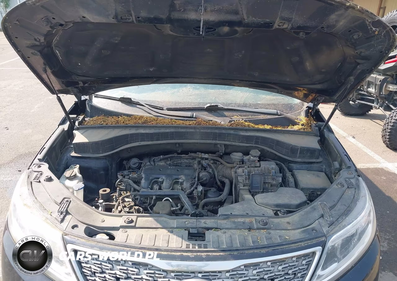 2015 Kia Sorento Sx V6 VIN:5XYKWDA71FG561594 - 10