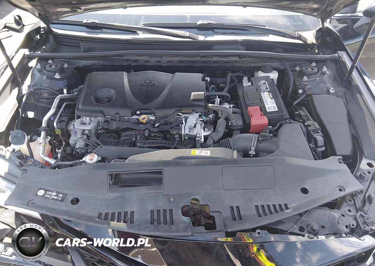 2018 Toyota Camry Se VIN:4T1B11HKXJU620443 - 10