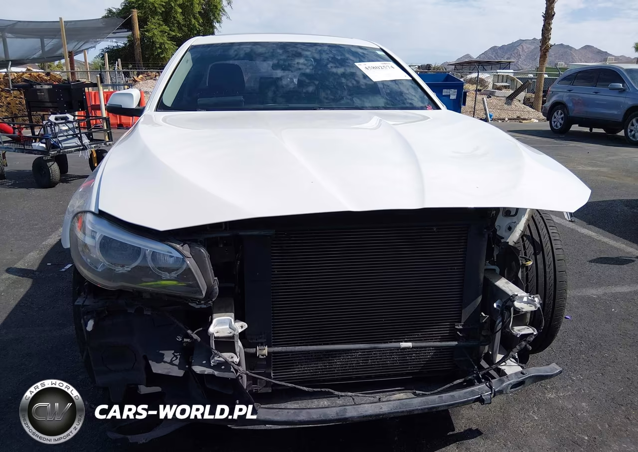 2015 BMW 528I VIN:WBA5A5C51FD517183 - 13