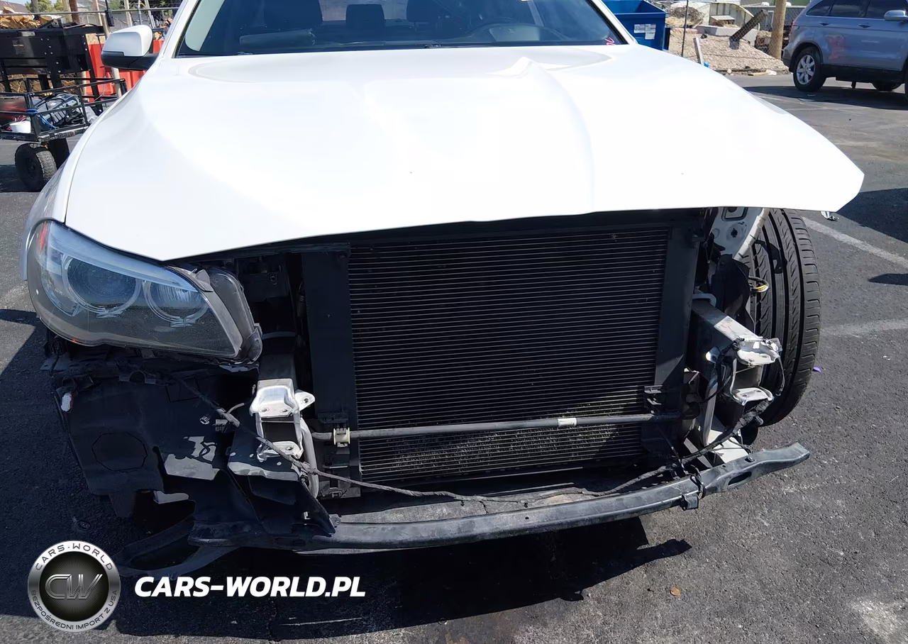 2015 BMW 528I VIN:WBA5A5C51FD517183 - 6
