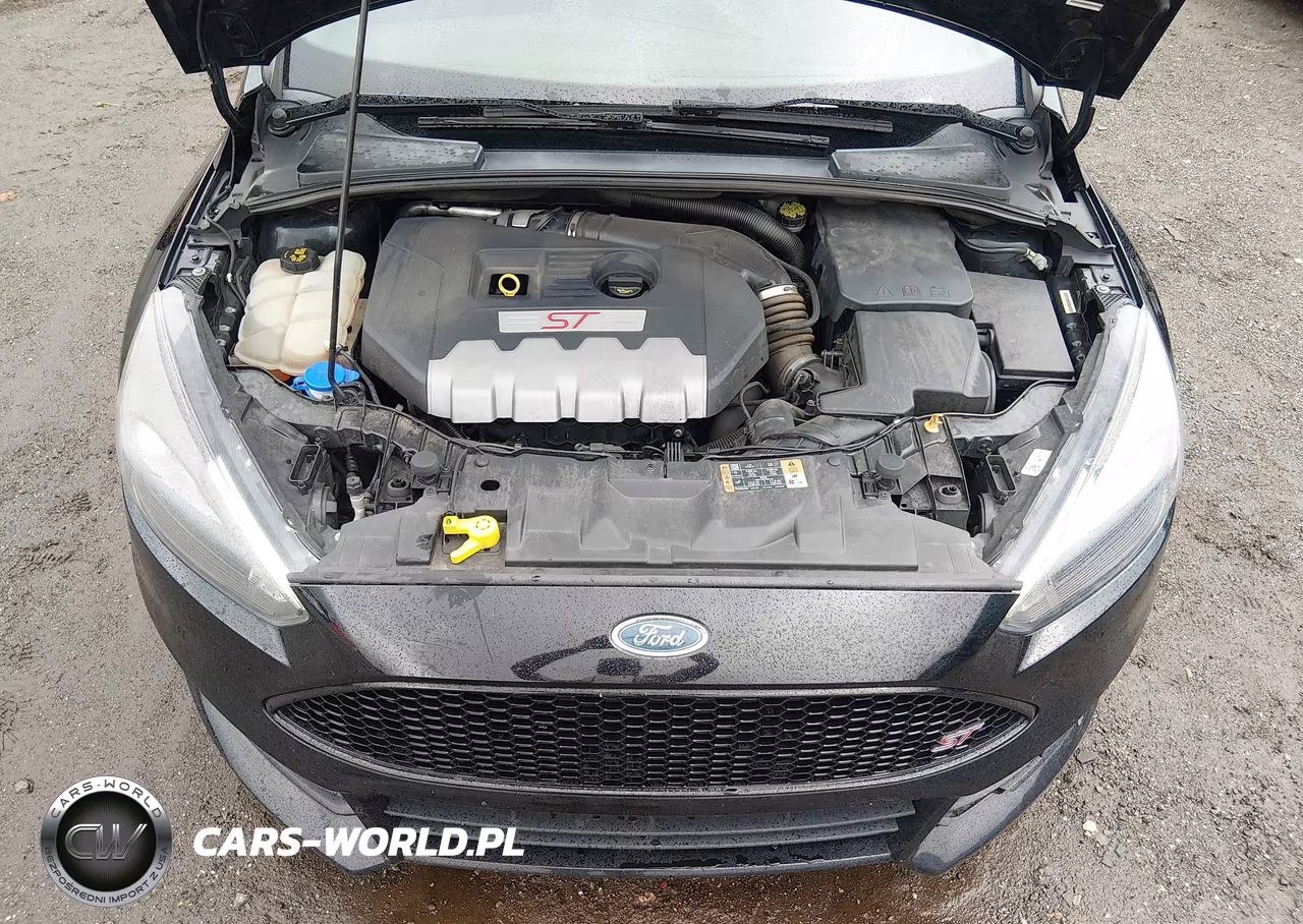 2018 Ford Focus St VIN:1FADP3L93JL319746 - 10