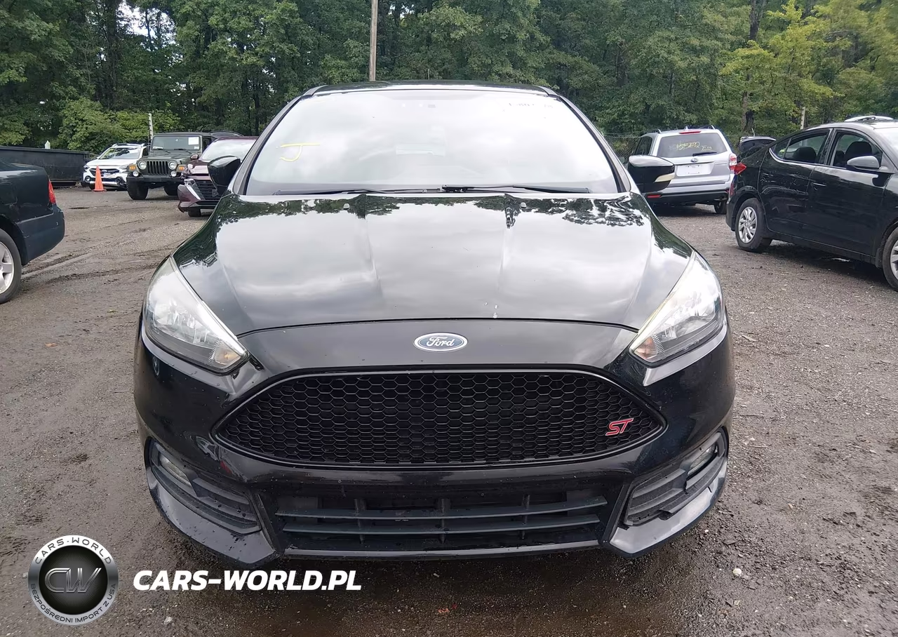 2018 Ford Focus St VIN:1FADP3L93JL319746 - 12