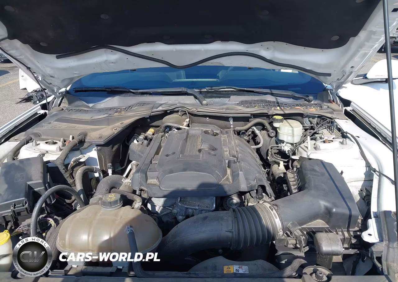 2017 Ford Mustang Ecoboost VIN:1FA6P8TH4H5277681 - 10