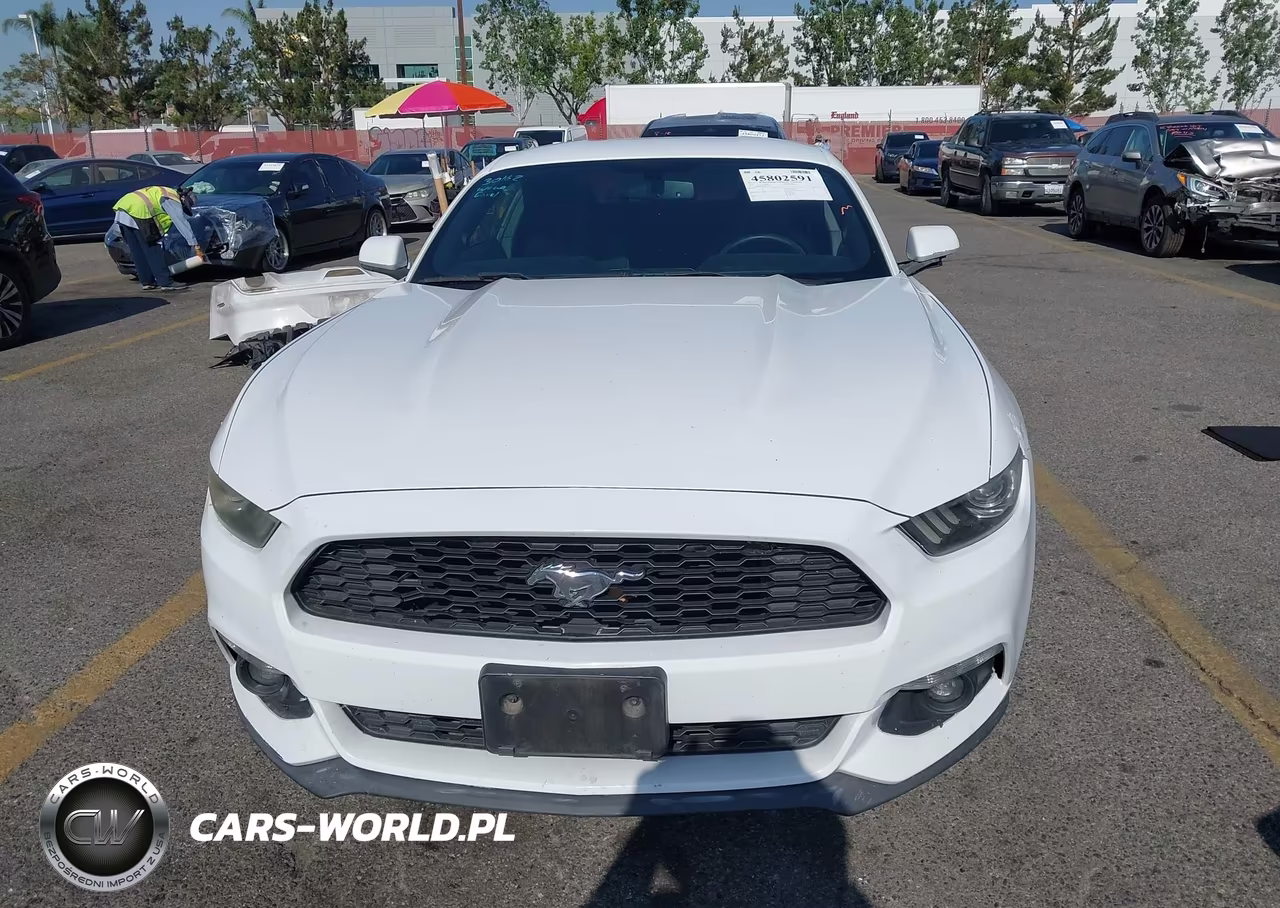 2017 Ford Mustang Ecoboost VIN:1FA6P8TH4H5277681 - 13