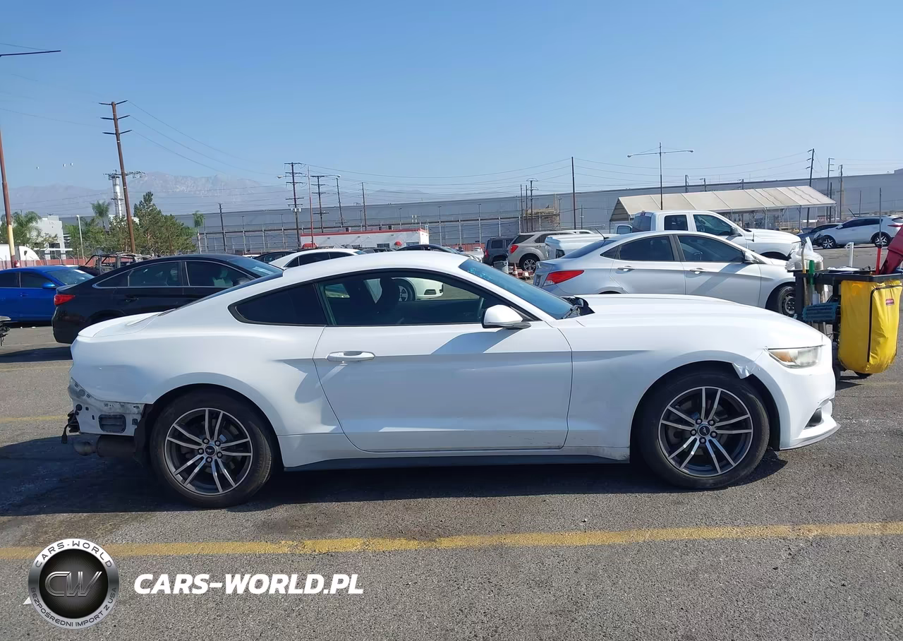 2017 Ford Mustang Ecoboost VIN:1FA6P8TH4H5277681 - 14