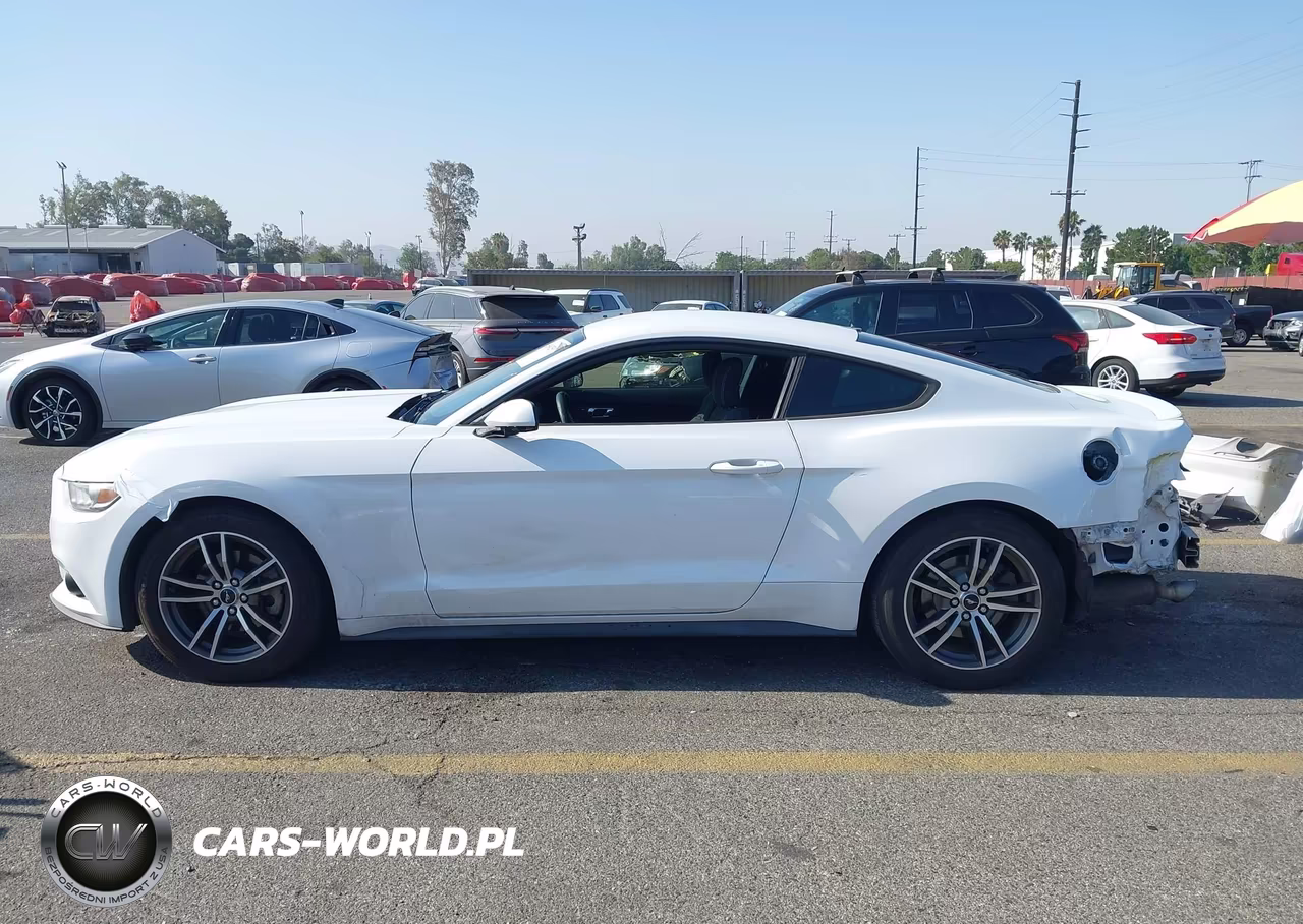 2017 Ford Mustang Ecoboost VIN:1FA6P8TH4H5277681 - 15