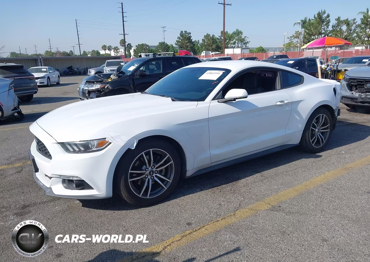 2017 Ford Mustang Ecoboost VIN:1FA6P8TH4H5277681 - 2