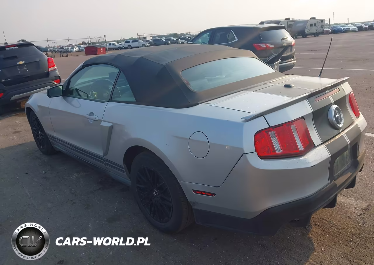 2010 Ford Mustang V6-V6 Premium VIN:1ZVBP8ENXA5165093 - 3