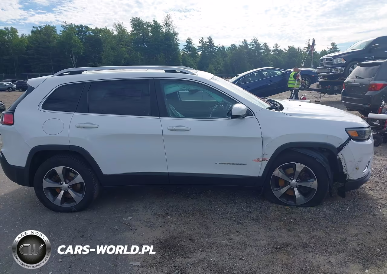 2019 Jeep Cherokee Limited 4X4 VIN:1C4PJMDX1KD236355 - 13