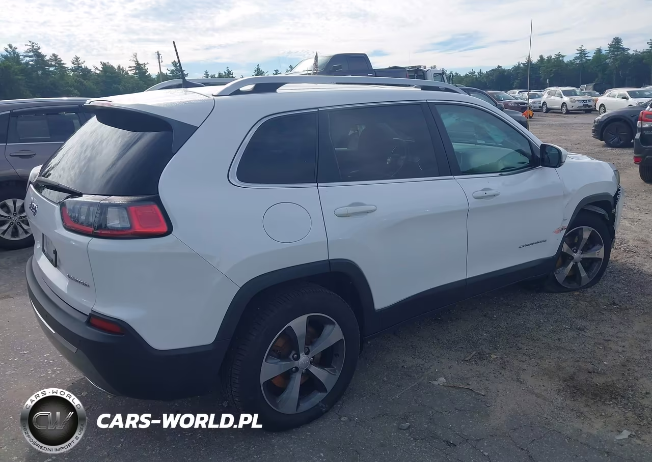 2019 Jeep Cherokee Limited 4X4 VIN:1C4PJMDX1KD236355 - 4