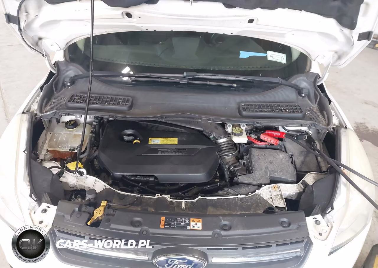 2014 Ford Escape Se VIN:1FMCU0GX3EUC19437 - 10