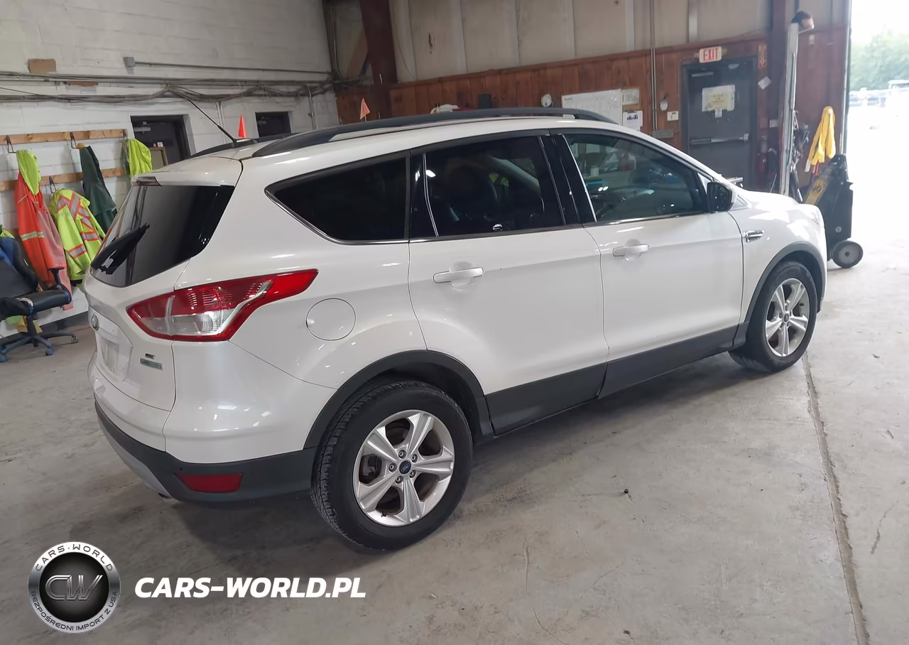 2014 Ford Escape Se VIN:1FMCU0GX3EUC19437 - 4
