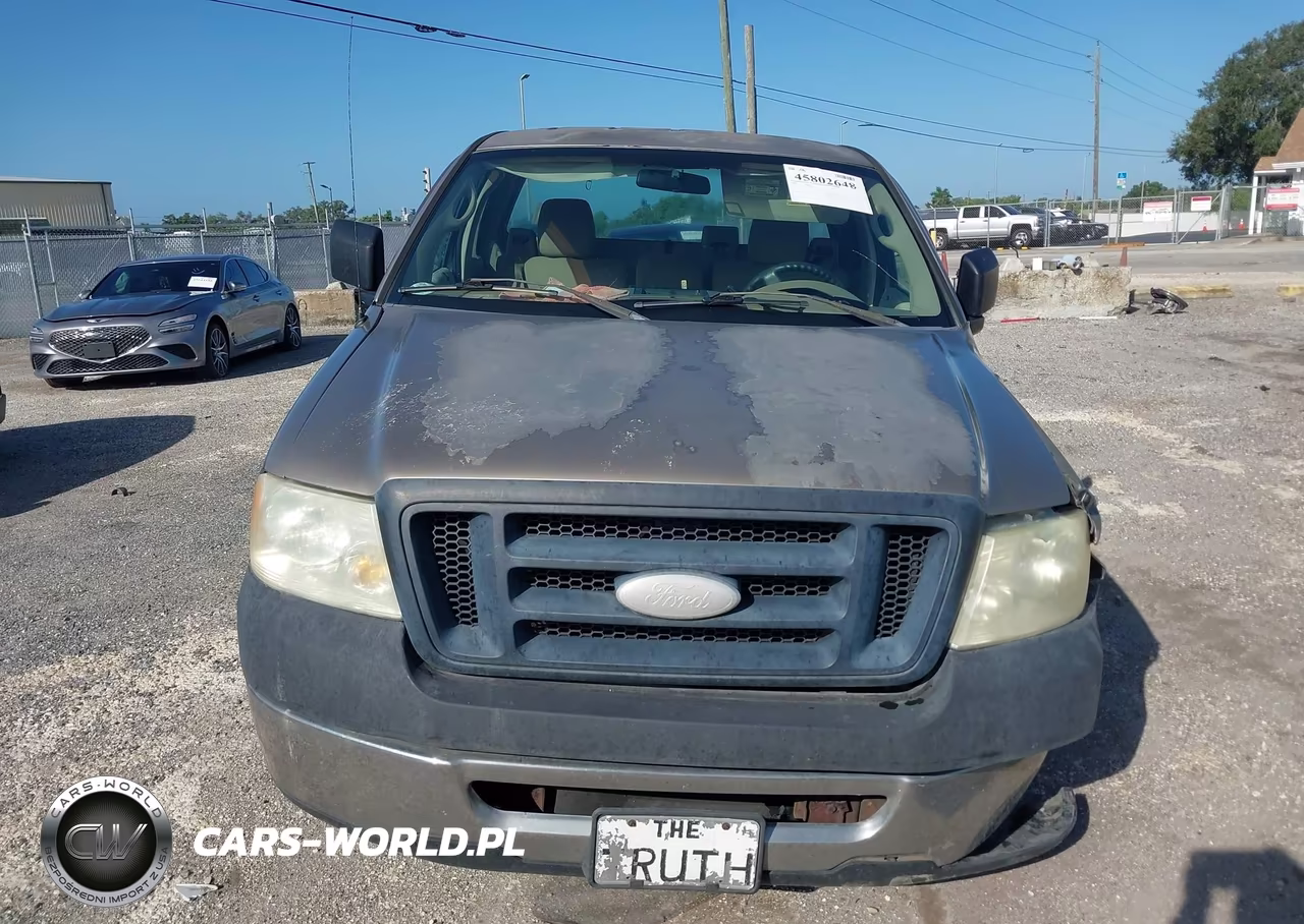 2006 Ford F-150 Stx-Xl-Xlt VIN:1FTRF12236NA34908 - 12
