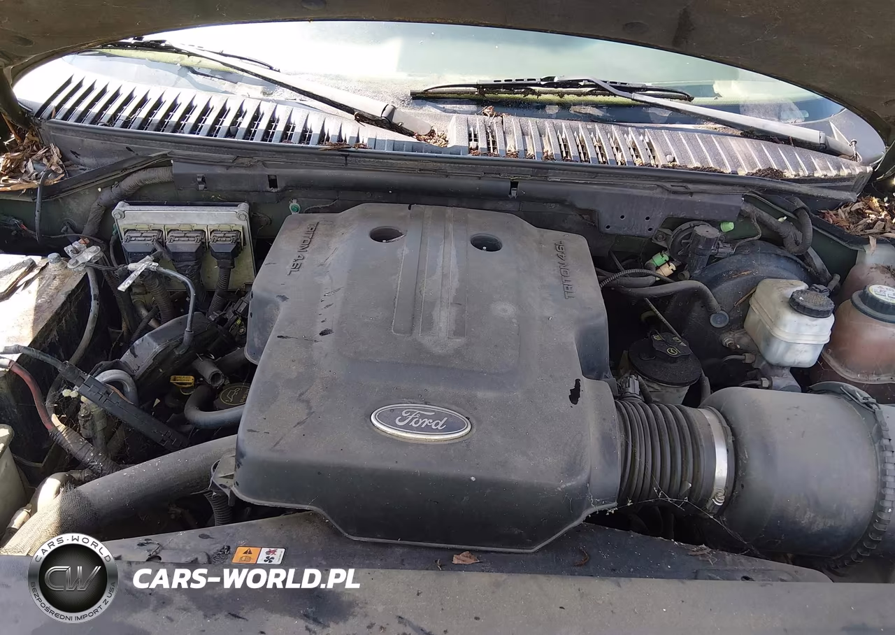 2004 Ford Expedition Eddie Bauer VIN:1FMRU17WX4LB31612 - 10