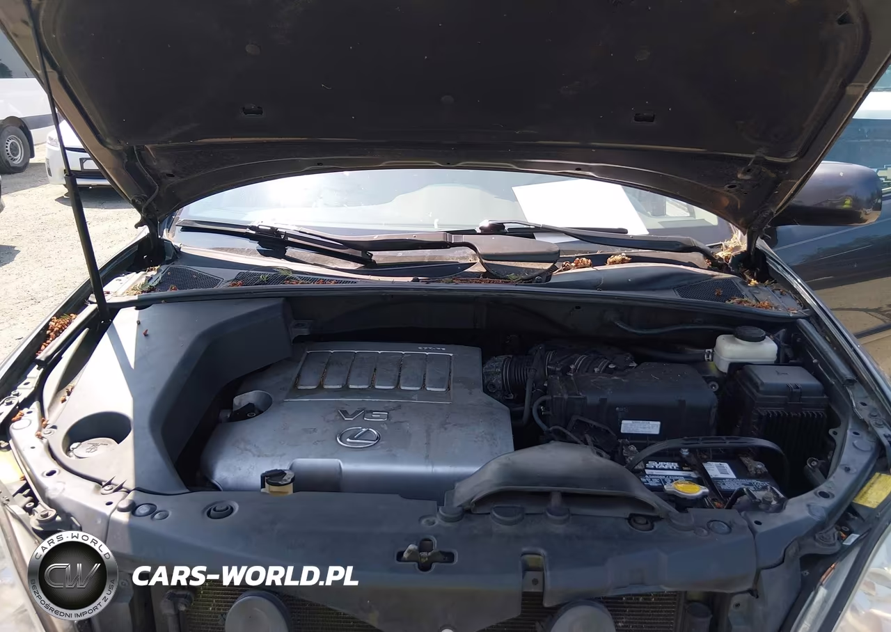 2009 Lexus Rx 350 VIN:2T2HK31U19C108528 - 10