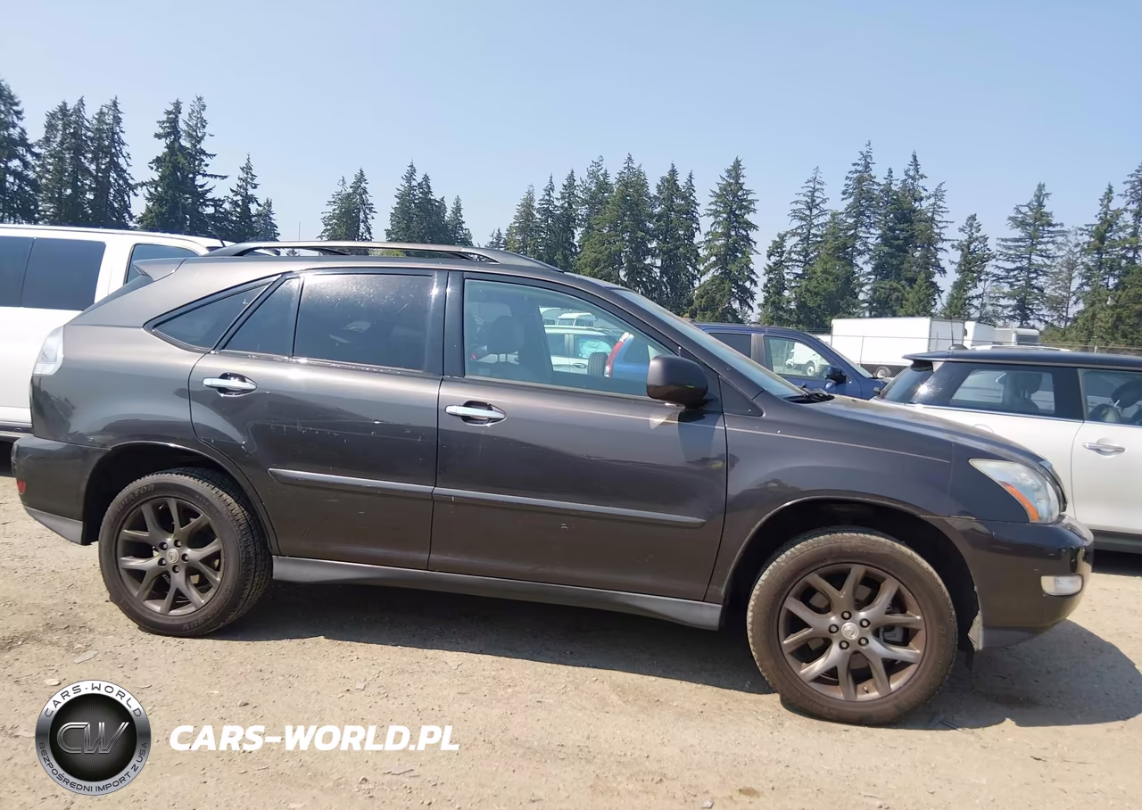 2009 Lexus Rx 350 VIN:2T2HK31U19C108528 - 13