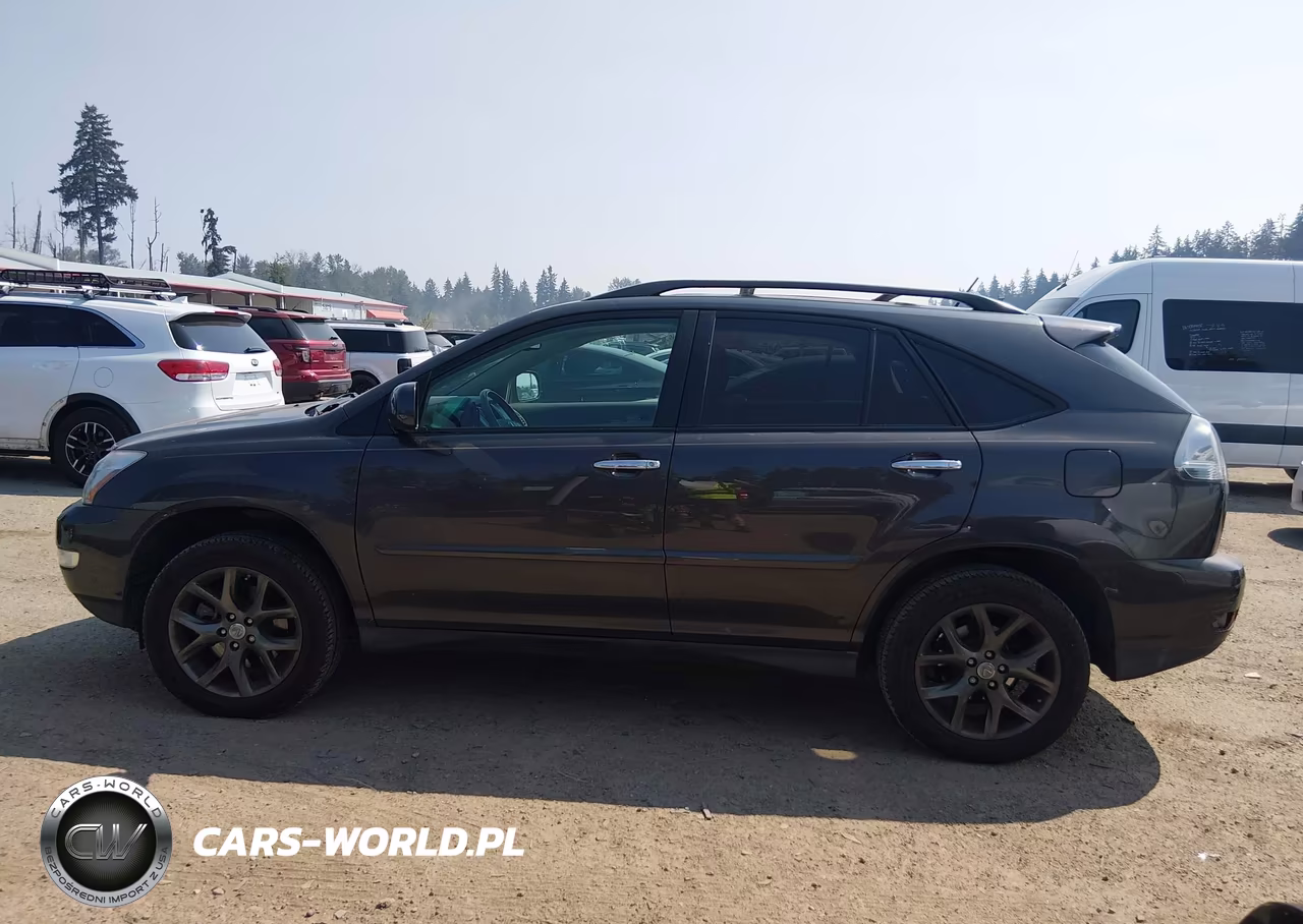 2009 Lexus Rx 350 VIN:2T2HK31U19C108528 - 14