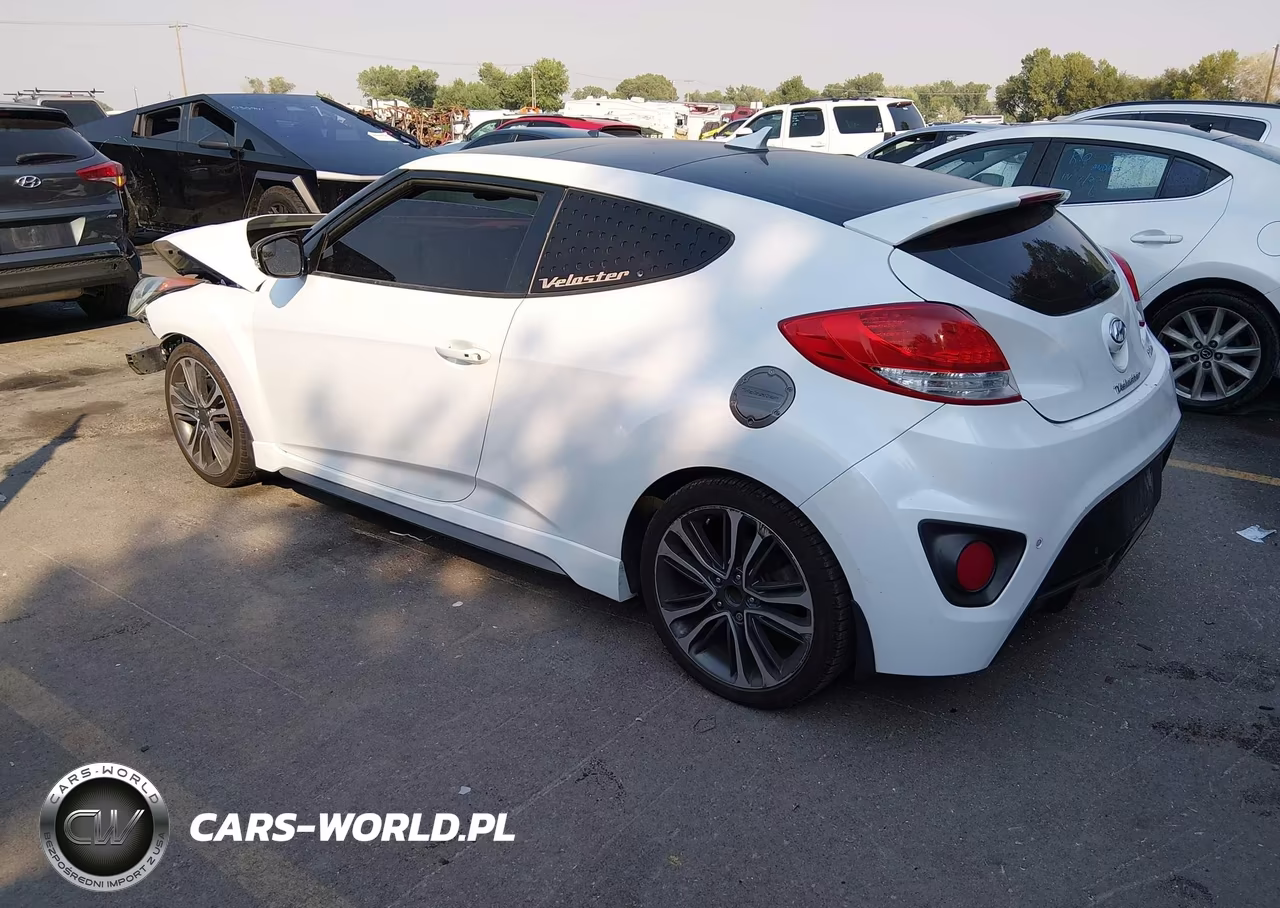 2016 Hyundai Veloster Turbo VIN:KMHTC6AE5GU302111 - 3