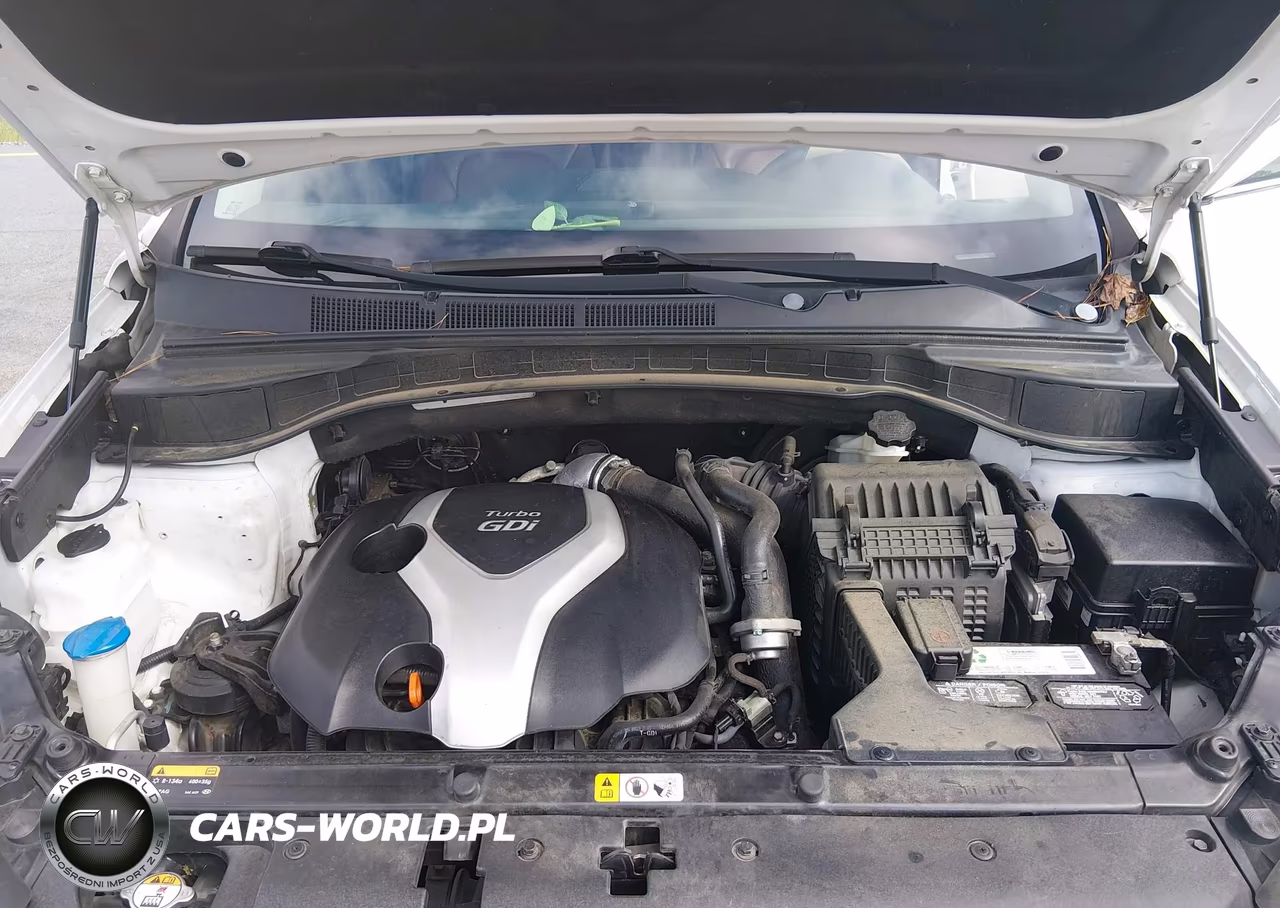 2014 Hyundai Santa Fe Sport 2.0L Turbo VIN:5XYZW3LA7EG132024 - 10