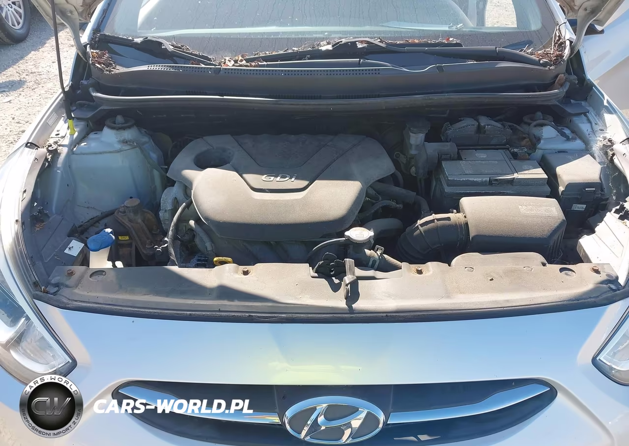 2015 Hyundai Accent Gs VIN:KMHCT5AE2FU226954 - 10