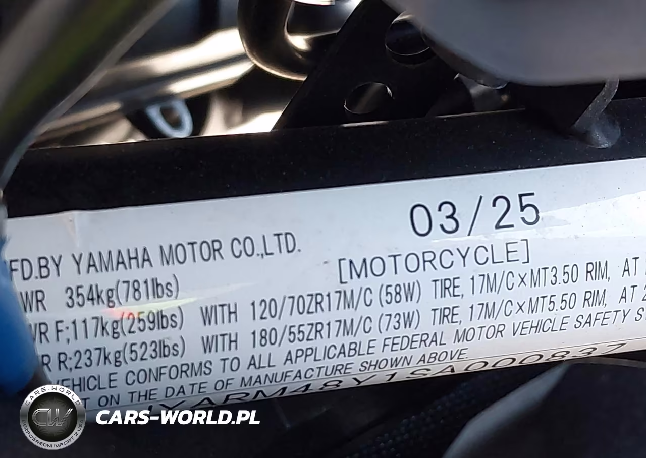 2025 Yamaha Mtn690 C VIN:JYARM48Y1SA000837 - 10