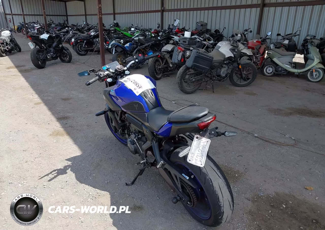 2025 Yamaha Mtn690 C VIN:JYARM48Y1SA000837 - 3
