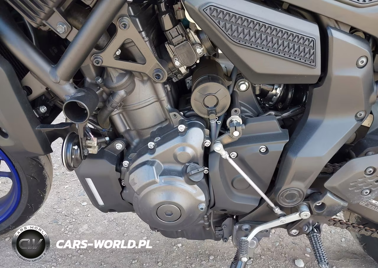 2025 Yamaha Mtn690 C VIN:JYARM48Y1SA000837 - 9