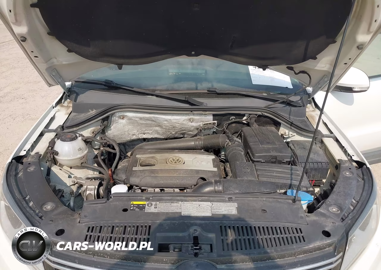 2013 Volkswagen Tiguan Se VIN:WVGBV3AX5DW082765 - 10