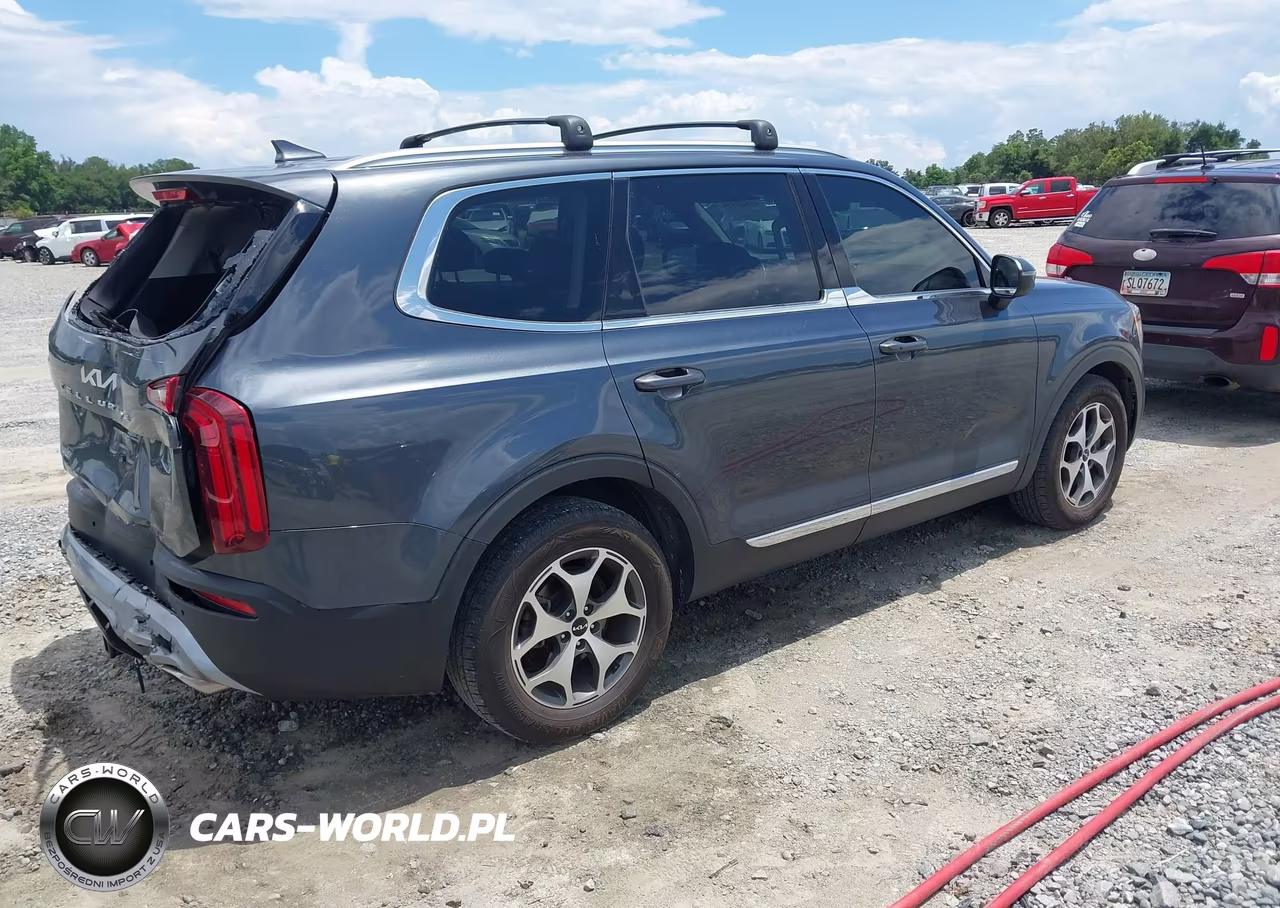 2022 Kia Telluride Ex VIN:5XYP34HC7NG275636 - 4
