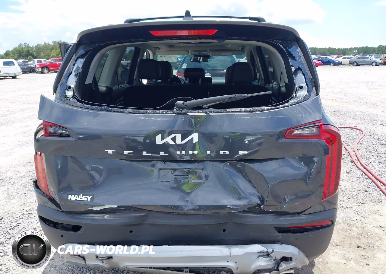 2022 Kia Telluride Ex VIN:5XYP34HC7NG275636 - 6